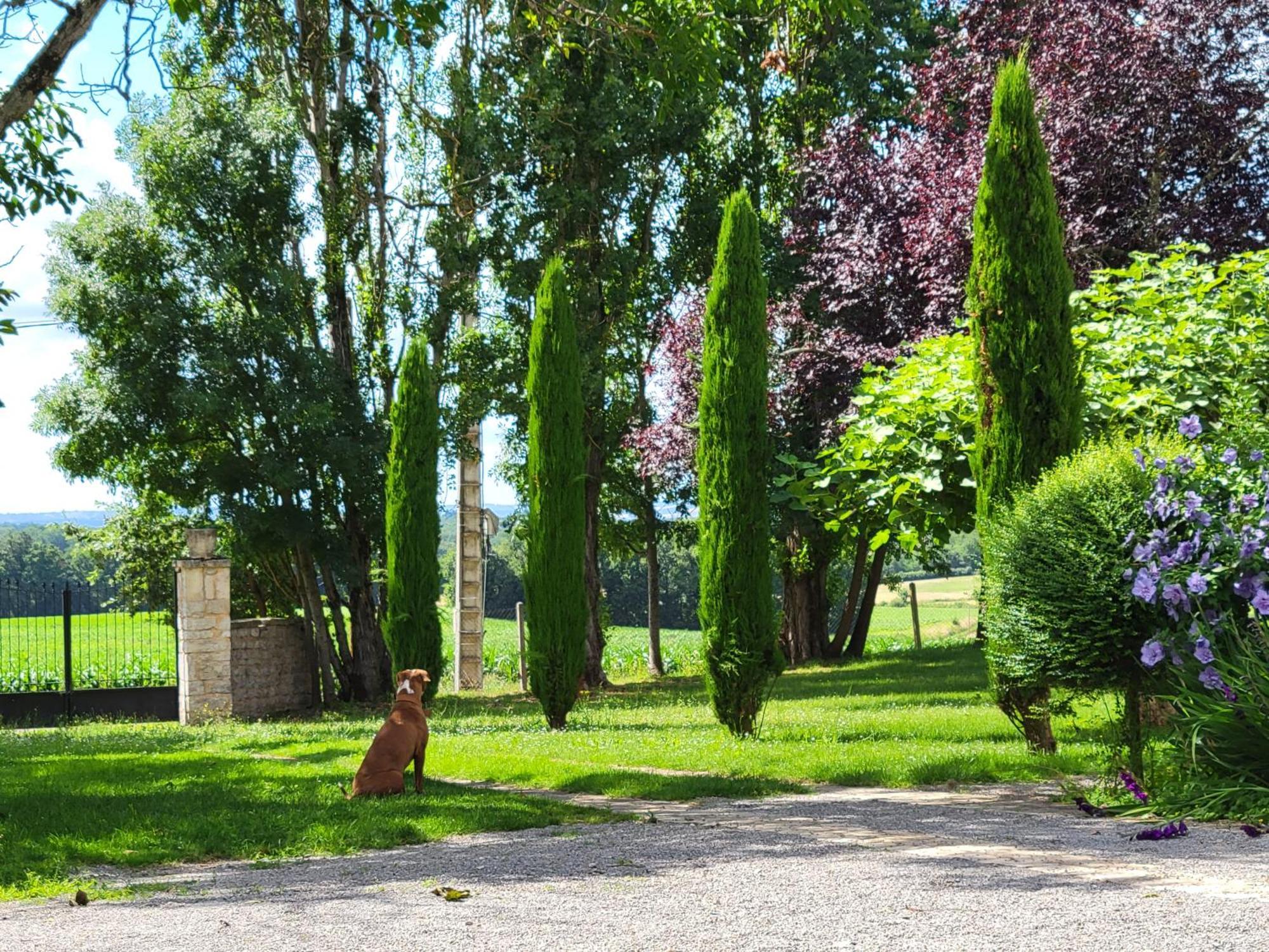 Le Flacon De La Verrouille Bruniquel Exterior photo